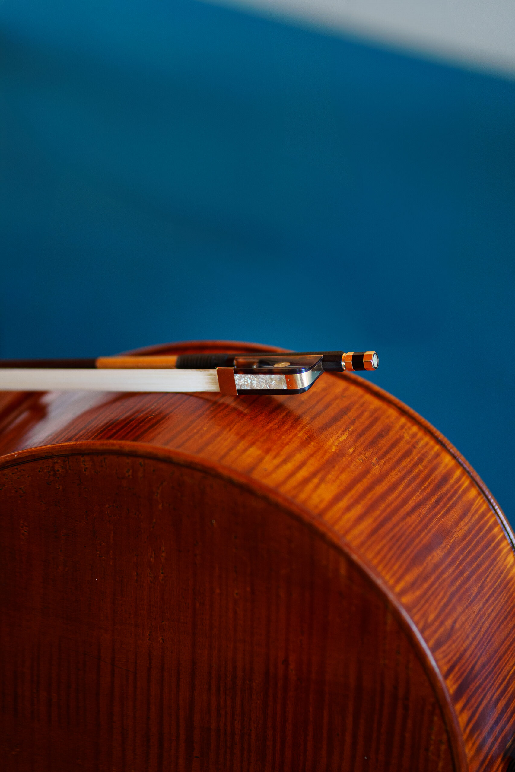 La musique classique regorge de type d'instrument, on y retrouve les cuivres ou aussi appelés instrument à vents